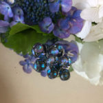 No.2.   ブログデビュー致します！