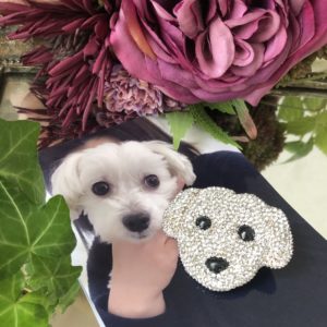 スワロフスキーのわんちゃんブローチ