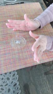 スワロフスキーのカメリアネックレス