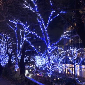 ミッドタウンの夜景