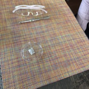 スワロフスキーのカメリアネックレス