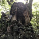 No.42.     熱海・箱根の癒し旅