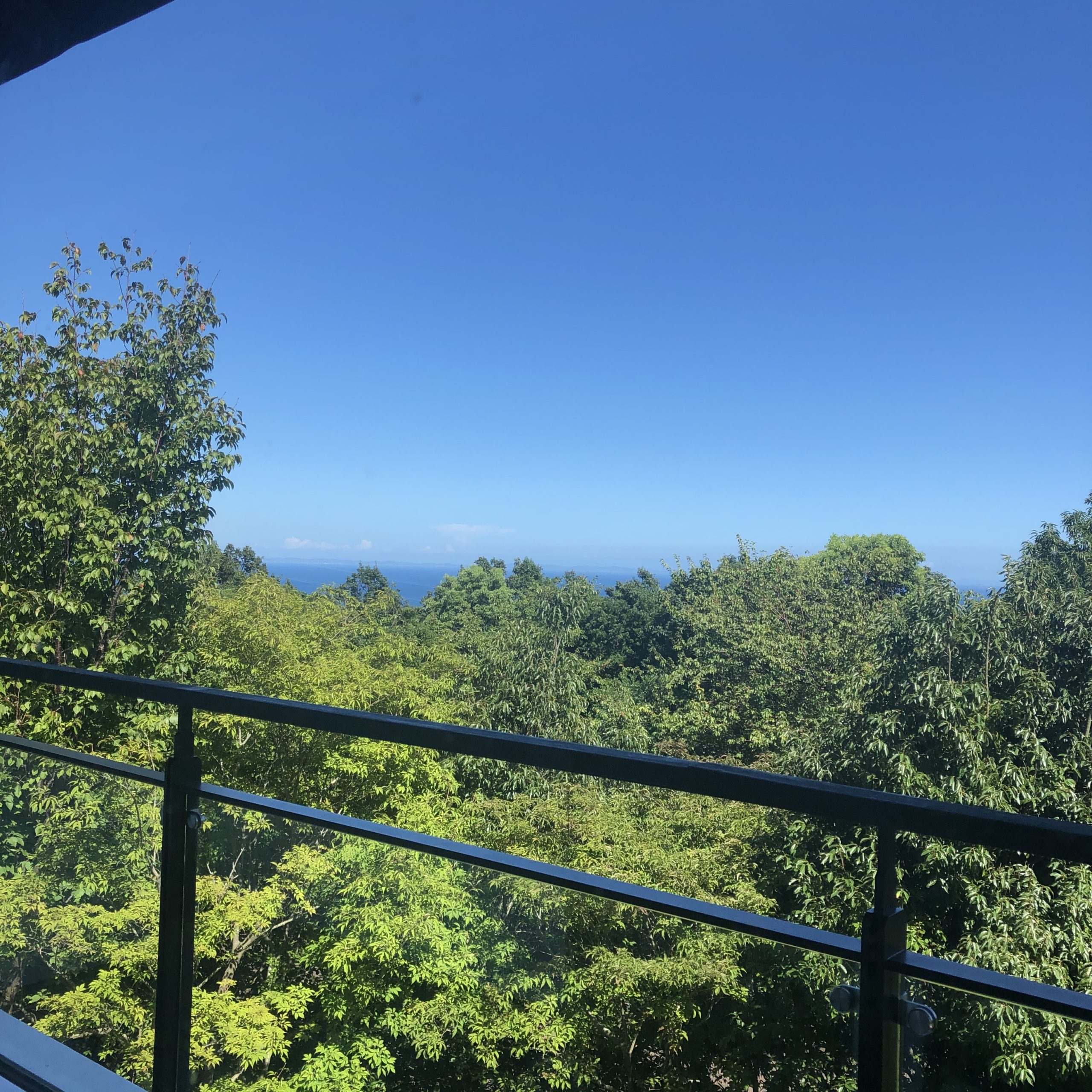 No.50.    美味しい☆小田原紀行　〜  vol.1 〜