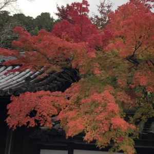 永観堂の紅葉