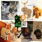 ☆クリスタルドックに関するお知らせ☆