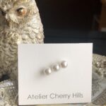 No.74.    ただいまホームページの改修中です(^^)