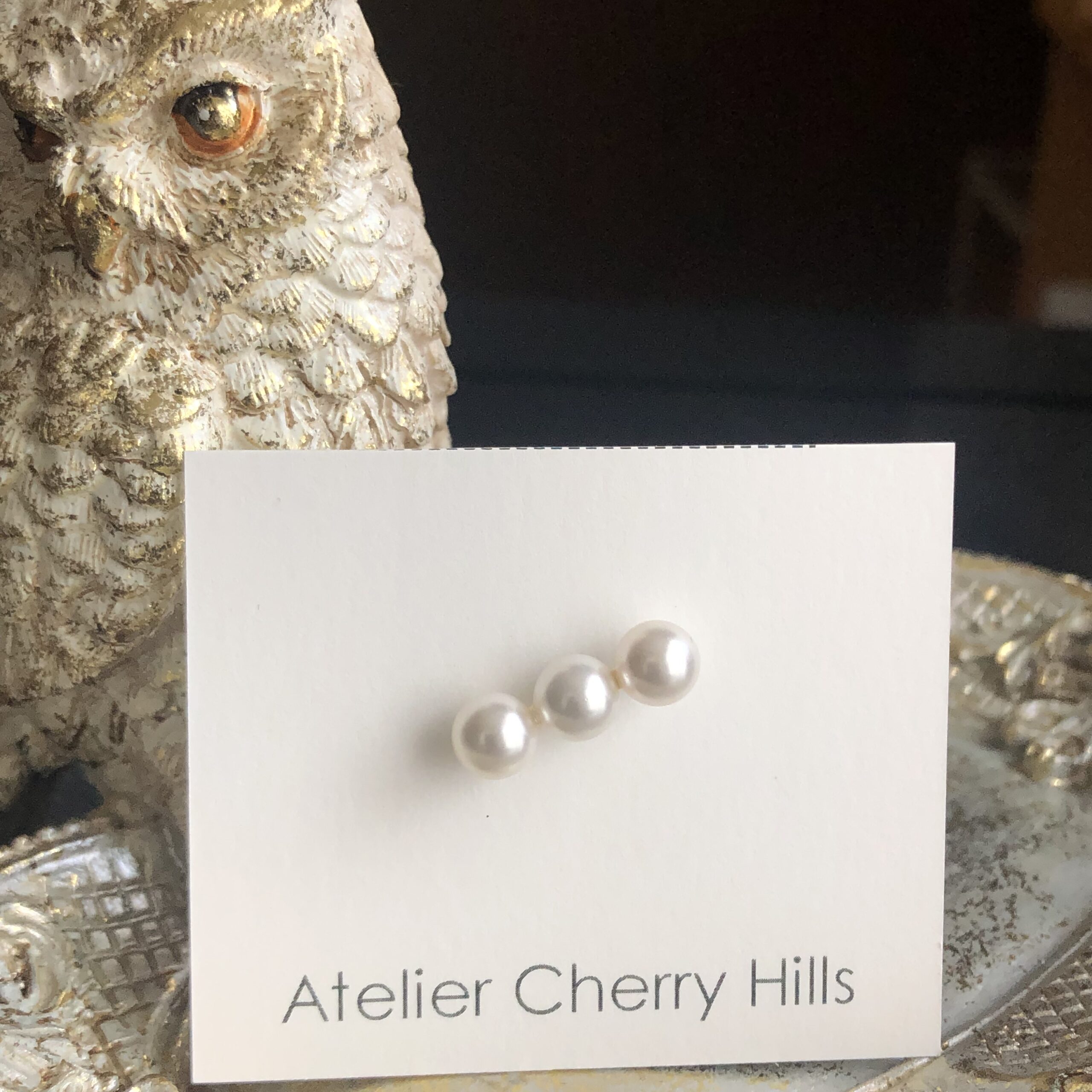 No.74.    ただいまホームページの改修中です(^^)