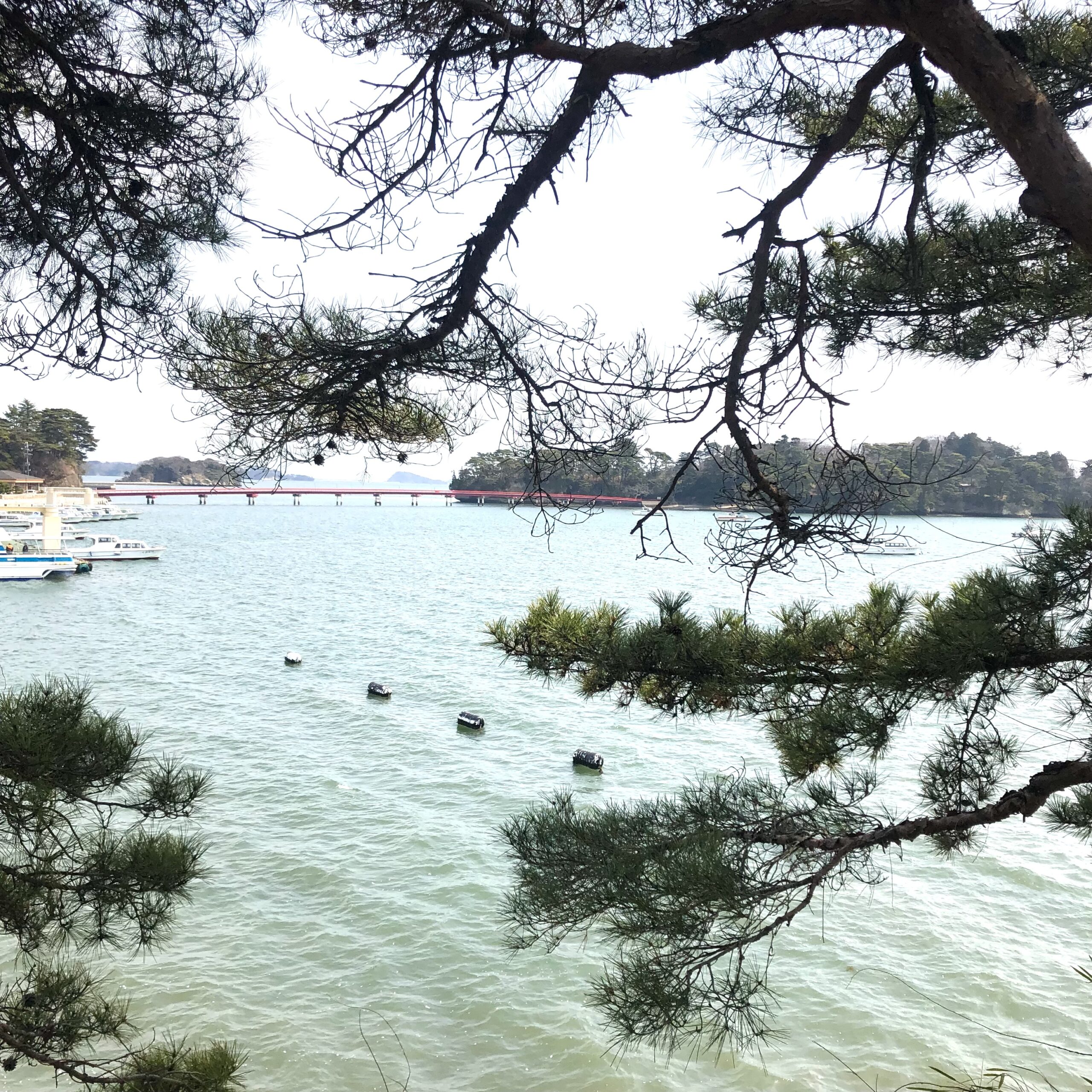 No. 82.　杜の都へ　〜　仙台・松島〜蔵王〜那須高原紀行　〜