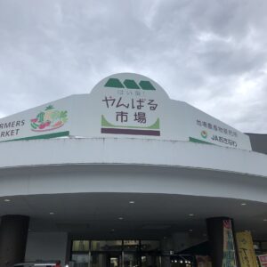 やんばる市場