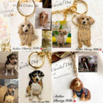 No.104.  ホームページが変わりました❣️