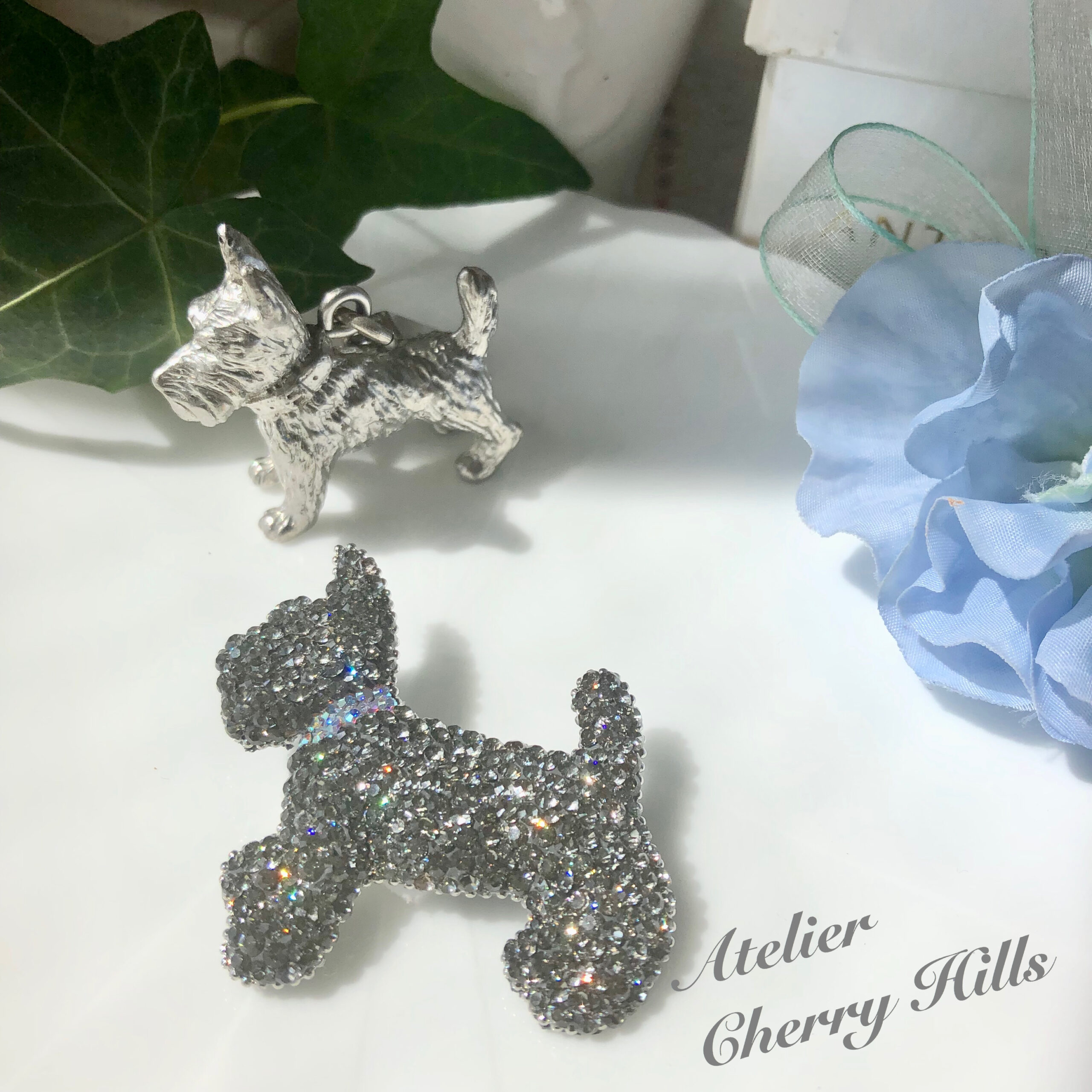 ｼｭﾅｳｨﾍﾟｯﾄ【ｼｭﾅｳｻﾞｰ×ｳｨﾍﾟｯﾄ】 フォーン 男の子 子犬販売・詳細