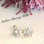 No.106.   おかげさまでHP開設５周年を迎えました🎶