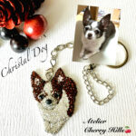 No.109.   インスタグラムがご縁でした♪( ´▽｀)