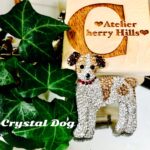 ☆  お知らせ　☆