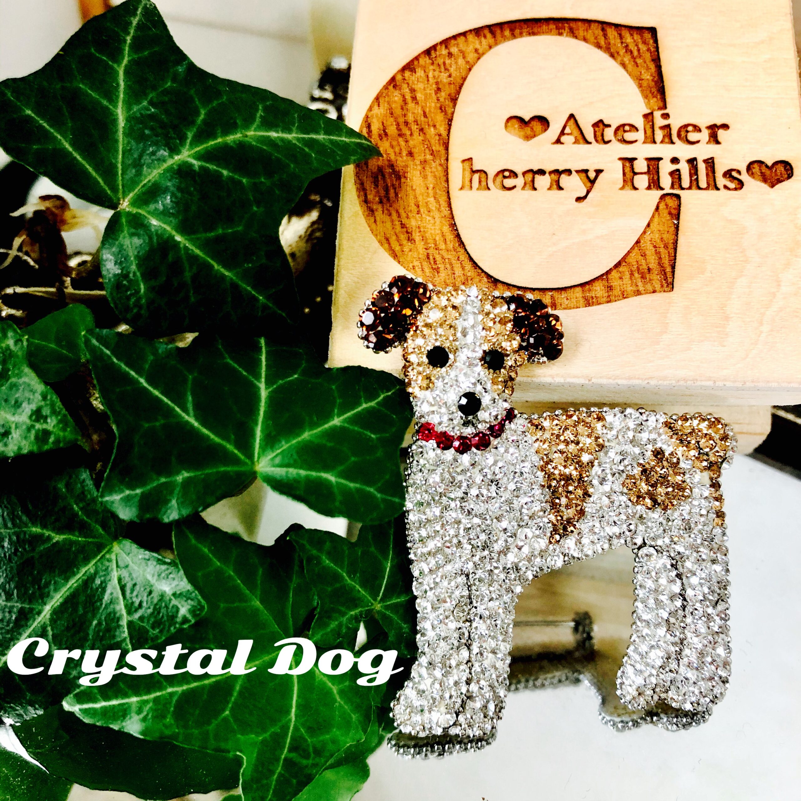 ☆  お知らせ　☆