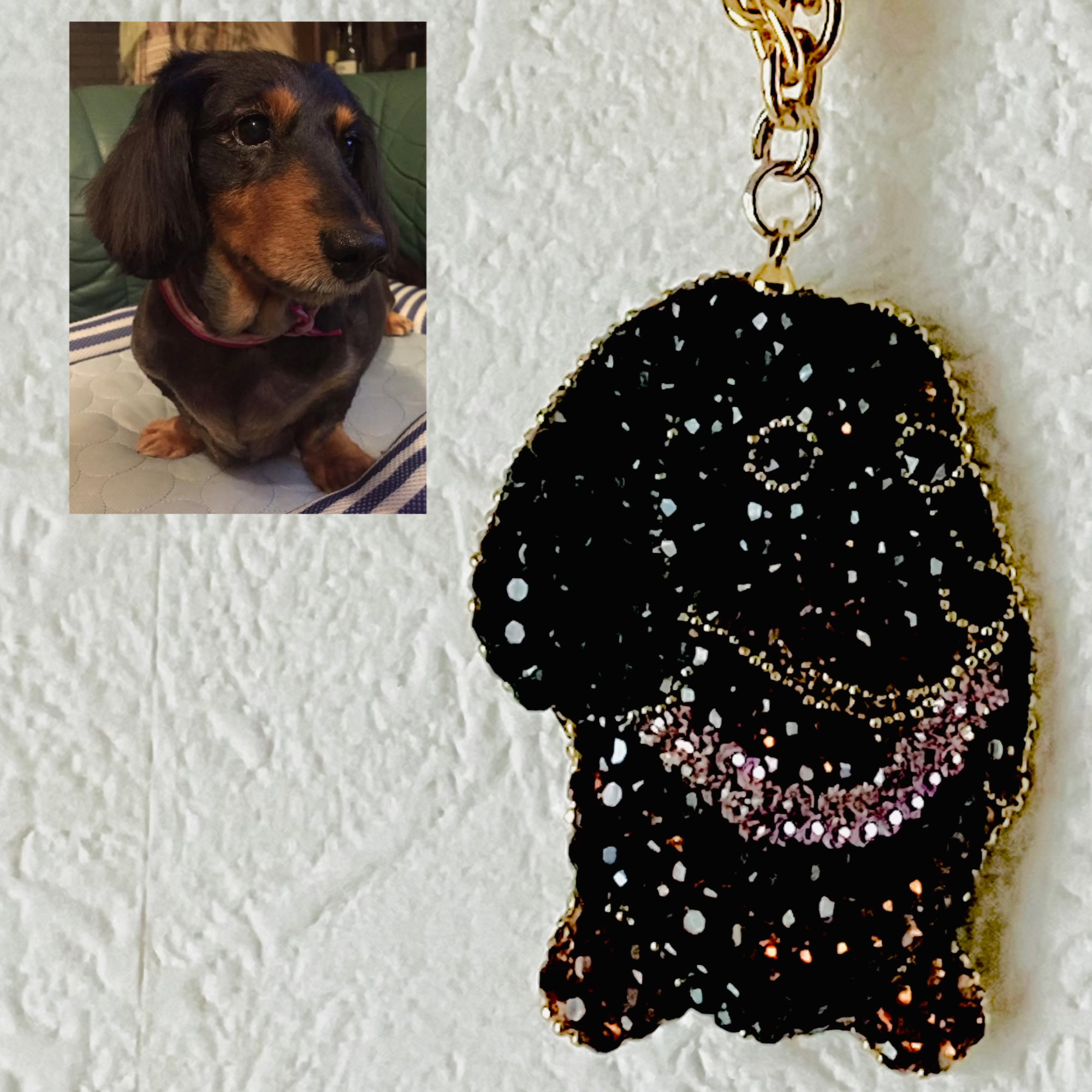 No.116.   HP開設６周年を迎えました❣️　